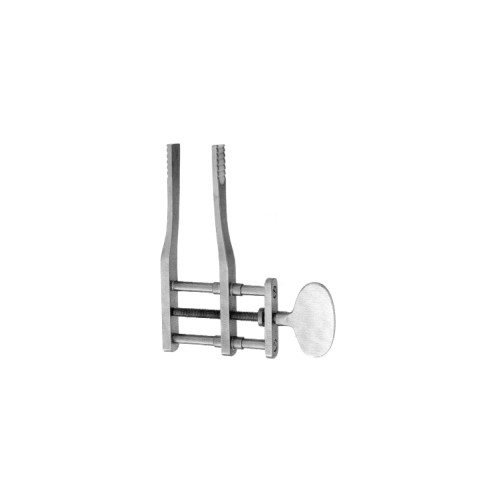 Oral Instruments